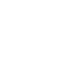 stella